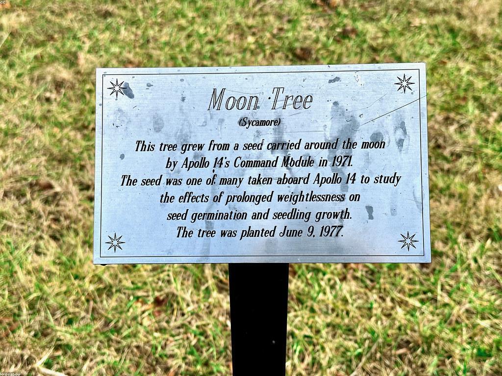 អនាគតនៃការសិក្សាដោយបទពិសោធន៍